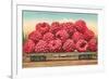 Giant Raspberries on Flatbed-null-Framed Art Print