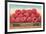 Giant Raspberries on Flatbed-null-Framed Art Print