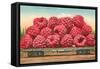 Giant Raspberries on Flatbed-null-Framed Stretched Canvas