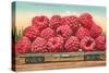 Giant Raspberries on Flatbed-null-Stretched Canvas