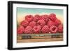 Giant Raspberries on Flatbed-null-Framed Art Print