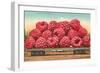 Giant Raspberries on Flatbed-null-Framed Art Print