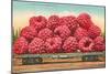 Giant Raspberries on Flatbed-null-Mounted Art Print