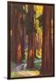 Giant Redwoods, Illustration-null-Framed Art Print