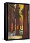 Giant Redwoods, Illustration-null-Framed Stretched Canvas