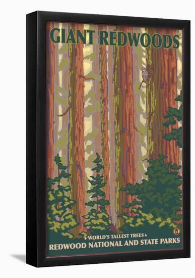 Giant Redwoods, Redwood National Park, California-null-Framed Poster