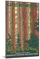 Giant Redwoods, Redwood National Park, California-null-Mounted Poster