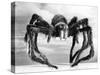 Giant Replica from the Movie Tarantula-null-Stretched Canvas