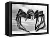 Giant Replica from the Movie Tarantula-null-Framed Stretched Canvas