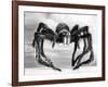 Giant Replica from the Movie Tarantula-null-Framed Photographic Print