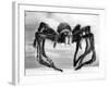 Giant Replica from the Movie Tarantula-null-Framed Photographic Print