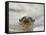 Giant River Otter, Pantanal, Brazil-Joe & Mary Ann McDonald-Framed Stretched Canvas