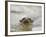 Giant River Otter, Pantanal, Brazil-Joe & Mary Ann McDonald-Framed Photographic Print