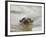 Giant River Otter, Pantanal, Brazil-Joe & Mary Ann McDonald-Framed Photographic Print