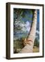 Giant Robber, Coconut Crab-null-Framed Photographic Print