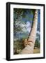 Giant Robber, Coconut Crab-null-Framed Photographic Print