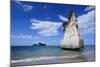 Giant Rock on the Sandy Beach of Cathedral Cove, Coromandel, North Island, New Zealand, Pacific-Michael Runkel-Mounted Photographic Print