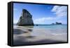 Giant Rock on the Sandy Beach of Cathedral Cove, Coromandel, North Island, New Zealand, Pacific-Michael Runkel-Framed Stretched Canvas