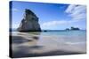 Giant Rock on the Sandy Beach of Cathedral Cove, Coromandel, North Island, New Zealand, Pacific-Michael Runkel-Stretched Canvas