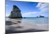 Giant Rock on the Sandy Beach of Cathedral Cove, Coromandel, North Island, New Zealand, Pacific-Michael Runkel-Mounted Photographic Print