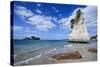 Giant Rock on the Sandy Beach of Cathedral Cove, Coromandel, North Island, New Zealand, Pacific-Michael Runkel-Stretched Canvas