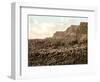 Giant's Causeway, 1890s-Science Source-Framed Giclee Print