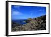 Giant's Causeway #1-giorgio_g-Framed Photographic Print