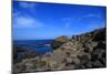 Giant's Causeway #1-giorgio_g-Mounted Photographic Print