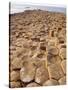 Giant's Causeway, County Antrim, Northern Ireland, UK, Europe-Charles Bowman-Stretched Canvas