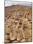 Giant's Causeway, County Antrim, Northern Ireland, UK, Europe-Charles Bowman-Mounted Photographic Print