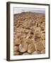 Giant's Causeway, County Antrim, Northern Ireland, UK, Europe-Charles Bowman-Framed Photographic Print