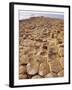 Giant's Causeway, County Antrim, Northern Ireland, UK, Europe-Charles Bowman-Framed Photographic Print