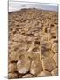 Giant's Causeway, County Antrim, Northern Ireland, UK, Europe-Charles Bowman-Mounted Photographic Print