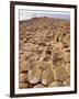 Giant's Causeway, County Antrim, Northern Ireland, UK, Europe-Charles Bowman-Framed Photographic Print