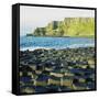 Giant's Causeway, County Antrim, Northern Ireland-phbcz-Framed Stretched Canvas