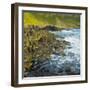 Giant's Causeway, County Antrim, Northern Ireland-phbcz-Framed Photographic Print