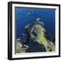 Giant's Causeway, County Antrim, Northern Ireland-phbcz-Framed Photographic Print