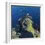 Giant's Causeway, County Antrim, Northern Ireland-phbcz-Framed Photographic Print