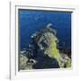 Giant's Causeway, County Antrim, Northern Ireland-phbcz-Framed Photographic Print