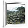 Giant's Causeway, County Antrim, Northern Ireland-phbcz-Framed Photographic Print