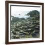 Giant's Causeway, County Antrim, Northern Ireland-phbcz-Framed Photographic Print