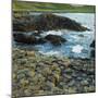 Giant's Causeway, County Antrim, Northern Ireland-phbcz-Mounted Photographic Print