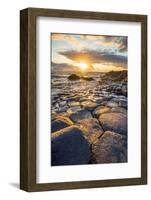 Giant's Causeway, County Antrim,  Ulster region, northern Ireland, United Kingdom. Iconic basalt co-Marco Bottigelli-Framed Photographic Print