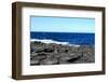 Giant's Causeway, Ireland.-Ibeth-Framed Photographic Print