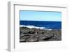 Giant's Causeway, Ireland.-Ibeth-Framed Photographic Print