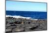 Giant's Causeway, Ireland.-Ibeth-Mounted Photographic Print