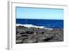 Giant's Causeway, Ireland.-Ibeth-Framed Photographic Print