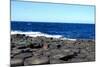 Giant's Causeway, Ireland.-Ibeth-Mounted Photographic Print