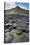 Giant'S Causeway, Looking In To Land, Causeway Coast-Bernard Castelein-Stretched Canvas