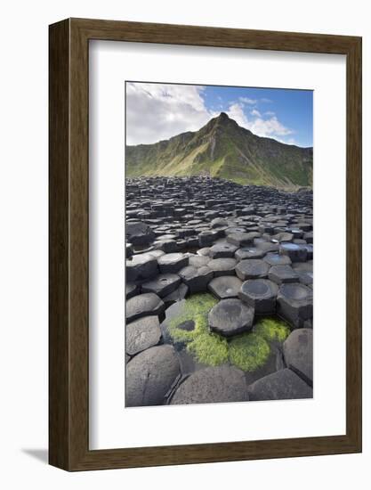 Giant'S Causeway, Looking In To Land, Causeway Coast-Bernard Castelein-Framed Photographic Print